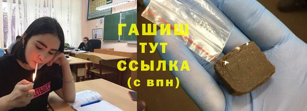 хмурый Арсеньев