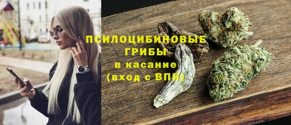дмт Алексин