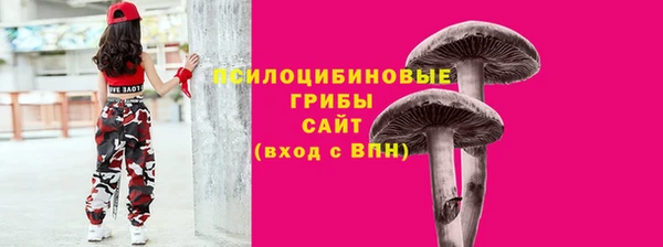 спиды Алексеевка