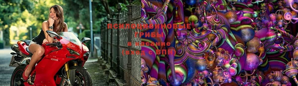 спиды Алексеевка