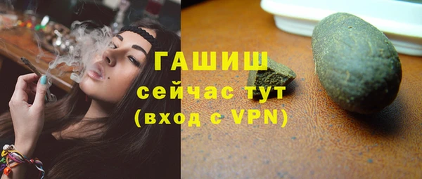 хмурый Арсеньев