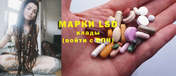 хмурый Арсеньев